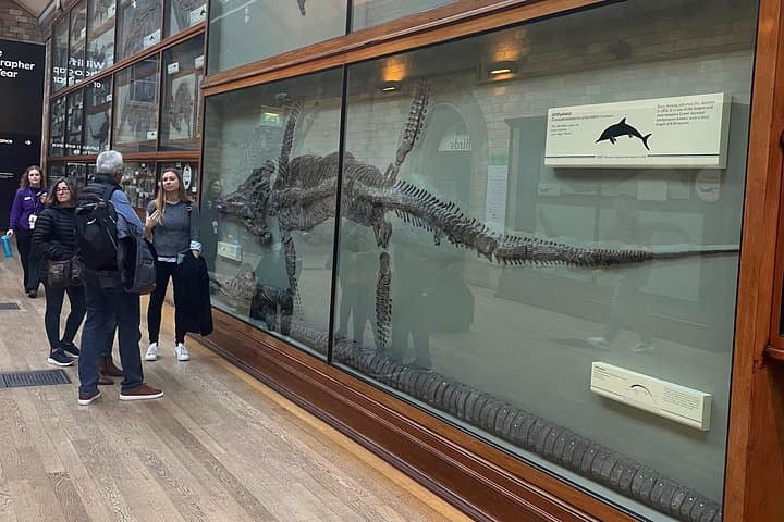 Women in the Natural History Museum