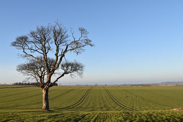 The ancient battleground where St George and St Andrews flags met for the first time