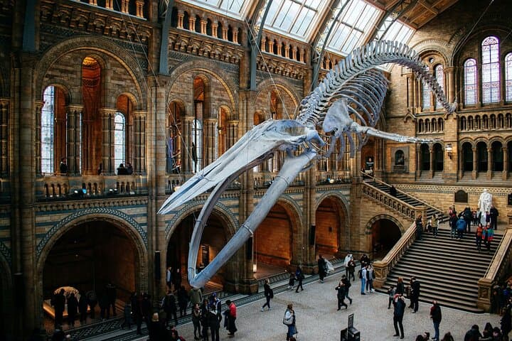 London: Natural History Museum Guided Tour & Audio Guide