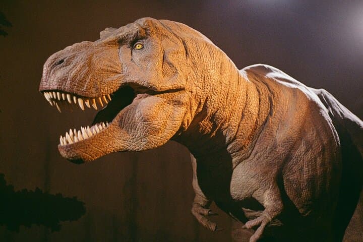London: Natural History Museum Guided Tour & Audio Guide