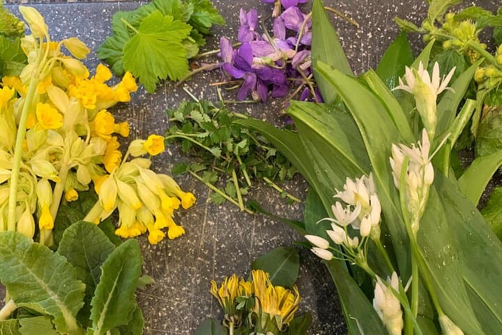 Wildflowers / Plants