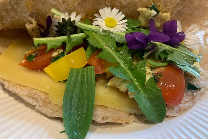 Sandwich filled with foraged wildflowers / plants