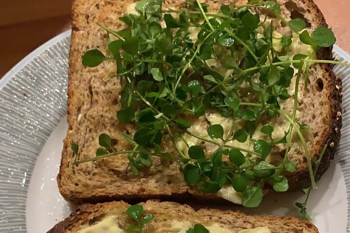 Hairy bittercress