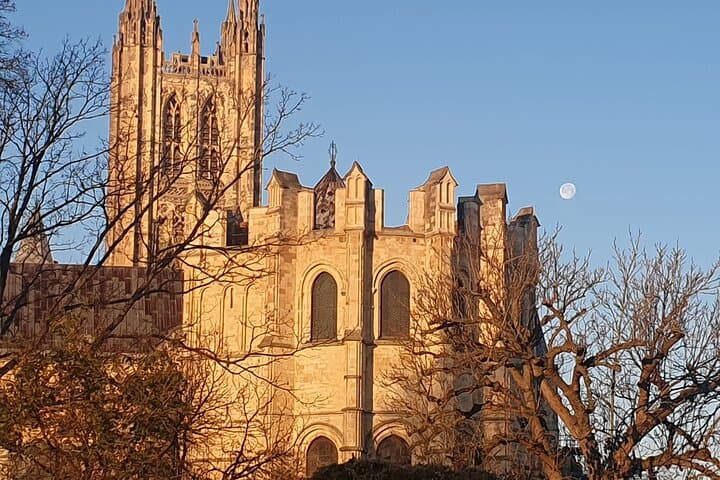 The cathedral