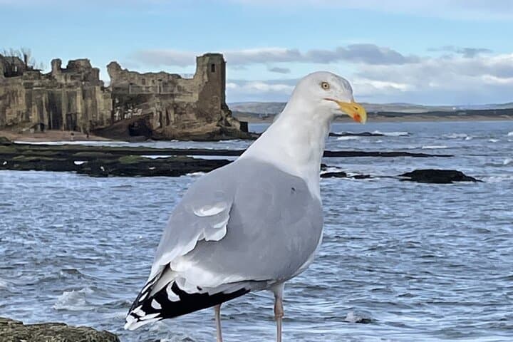 Some local wildlife