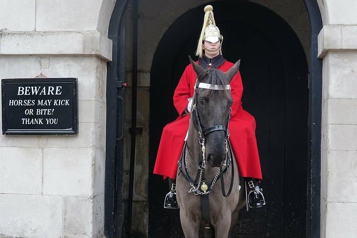 Changing of the Guard & Buckingham Palace Guided Tour Small Group