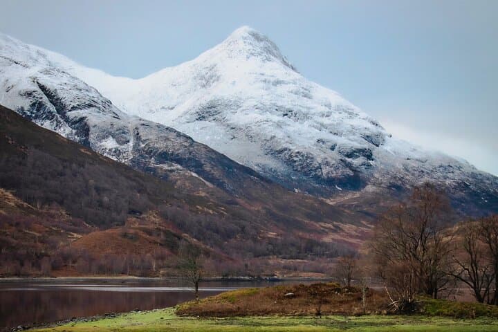 Why settle for ordinary when you can experience Scotland like a local!