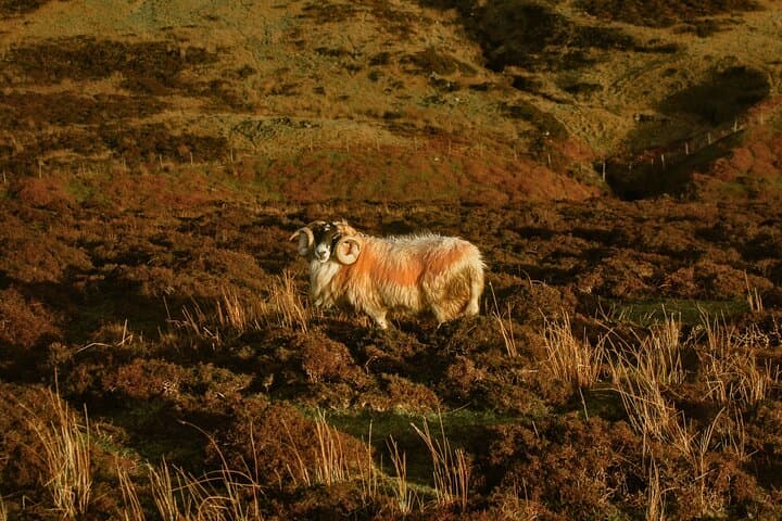 Discover the Isle of Skye’s hidden gems!