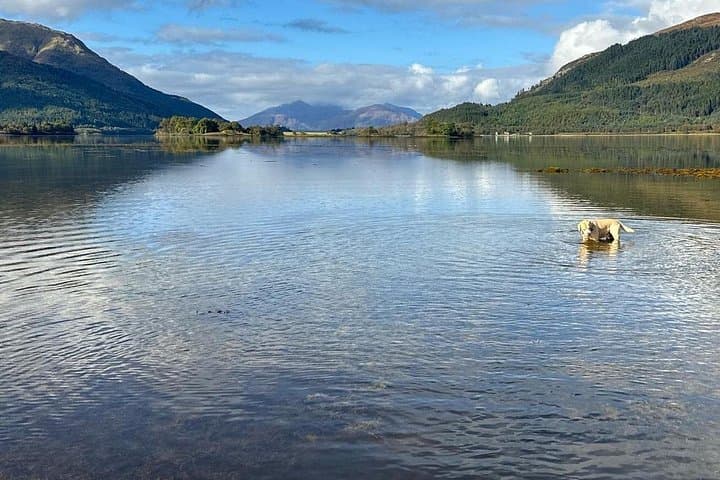 Glencoe