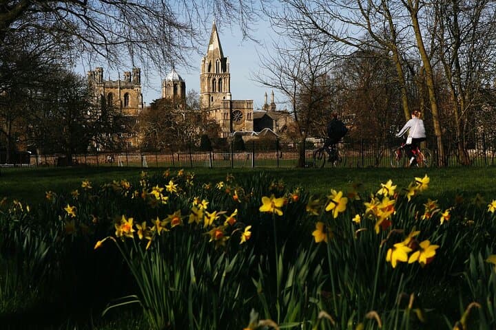 Spring from the meadow