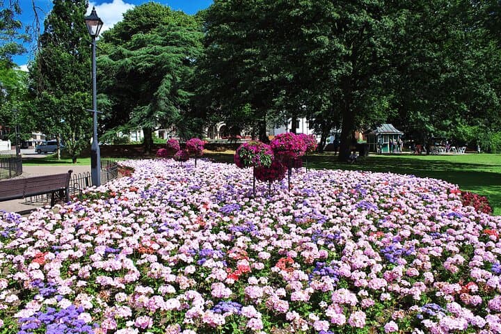 Explore Cardiff in 90 minutes with a Local - Private Tour
