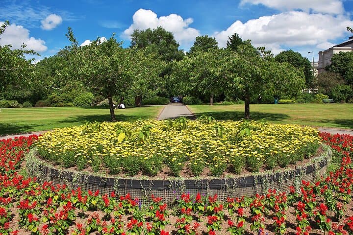 Explore Cardiff in 90 minutes with a Local - Private Tour
