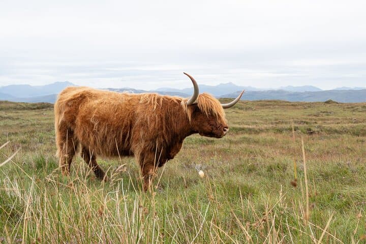 Incredible Scotland - Bespoke Multi Day Private Tours