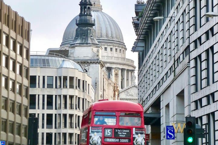London Top Sights Private Tour: 30+ Top London Sights