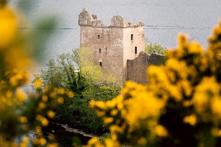 Invergordon – Castles, Inverness, Loch Ness, Highland cows!