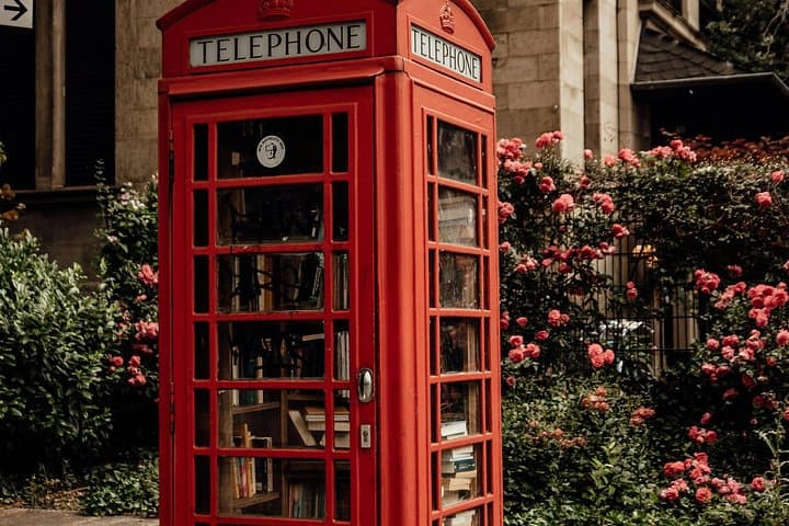 London's Top Sights Tour with Blue Badge VIP Guide
