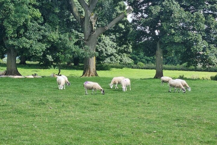 From London: Cotswolds Small-Group Tour with Bibury & Bourton