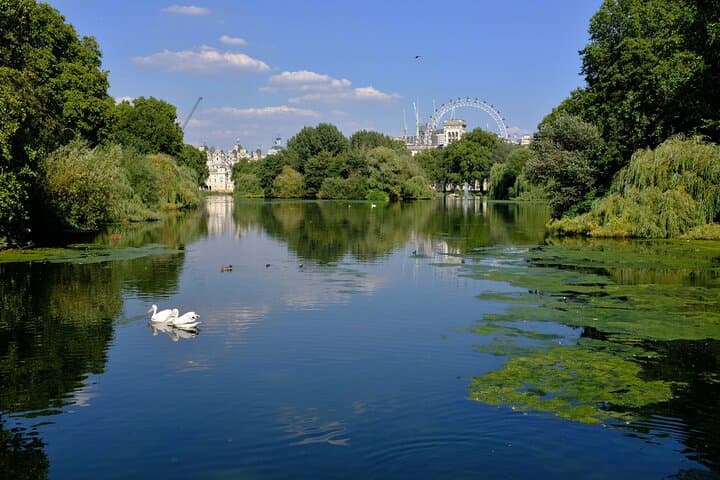 London Private Layover Sightseeing Tour