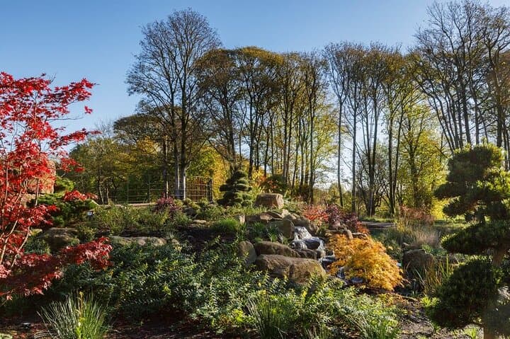 RHS Garden Bridgewater