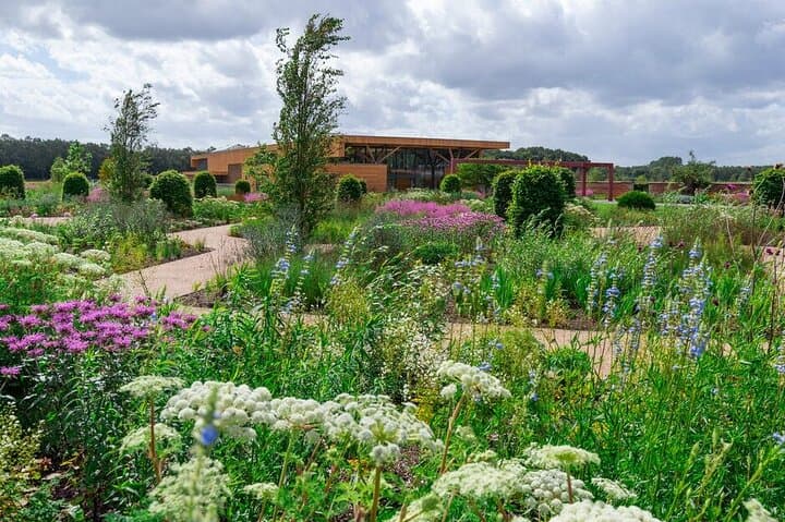 RHS Garden Bridgewater