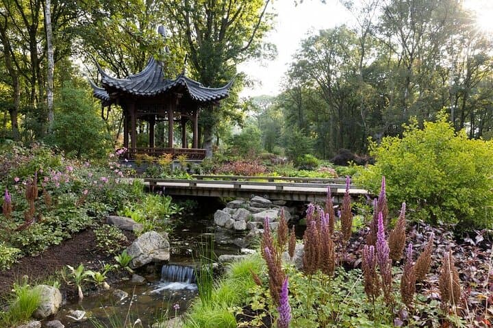 RHS Garden Bridgewater