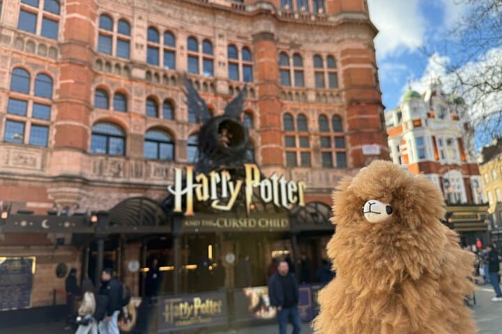 London Private Guided City Tour by Car