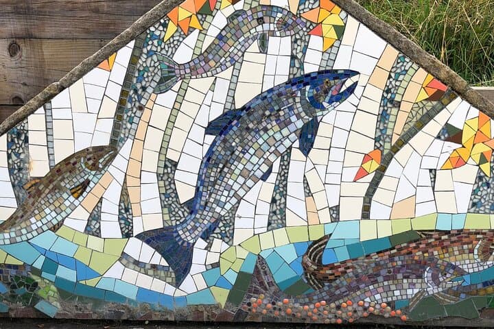 Salmon Mosaic Falls Of Shin
