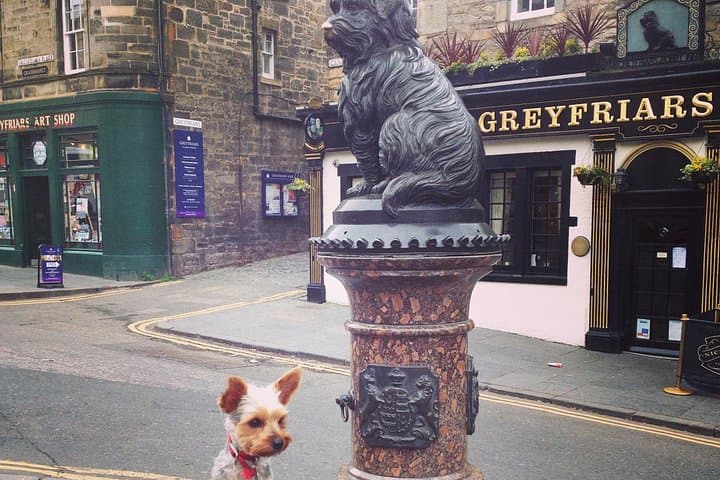 Greyfriar's Bobby, with friend!
