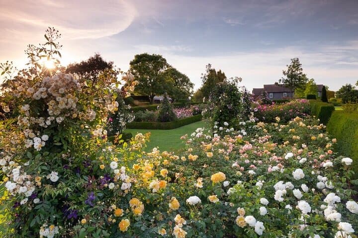 RHS Garden Hyde Hall