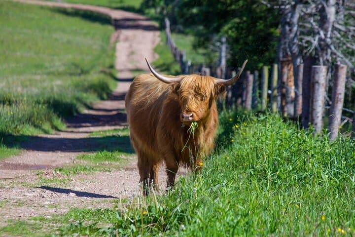 West Coast Highland Heritage Your Private Tour Journey