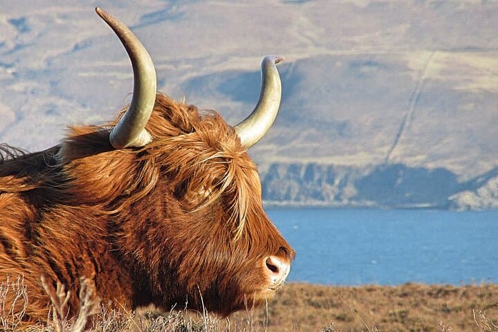 West Coast Highland Heritage Your Private Tour Journey