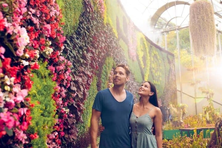 Sydney Gems Private Tour & Pick up & Drop off