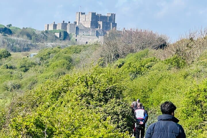 From London White Cliffs of Dover and Canterbury Private Day Trip