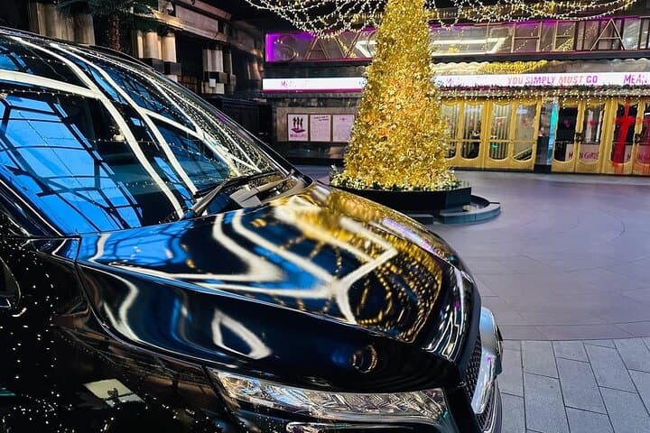 Southampton to London Private Luxury Cruise Transportation