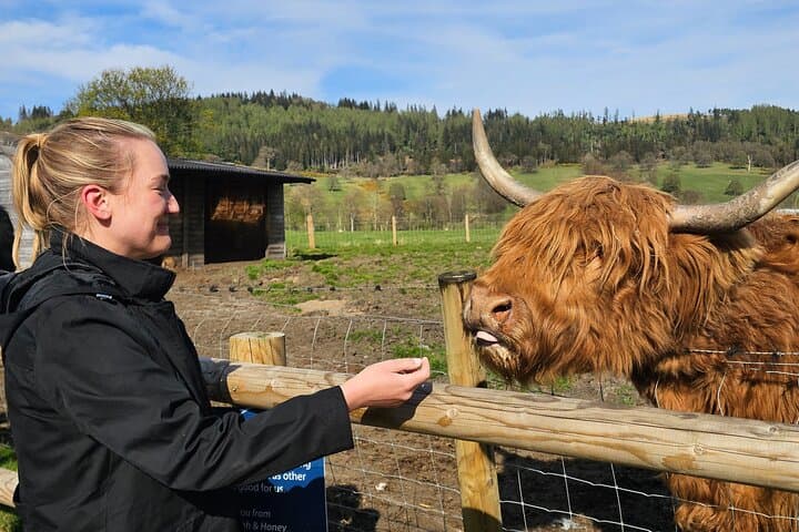 Glasgow: Glencoe & Oban Privately Guided Day Tour in Luxury MPV