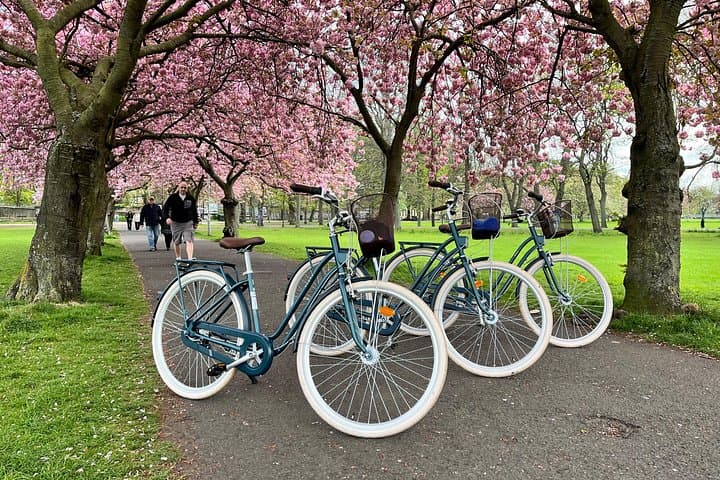 'A Wee Pedal's' Award-Winning Circular Cycle Tour of Edinburgh!