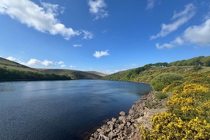 Half day Guided Dartmoor Tour
