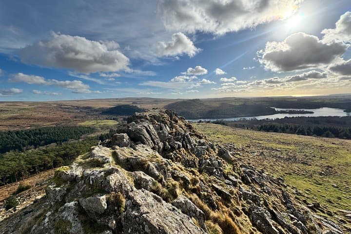 Half day Guided Dartmoor Tour