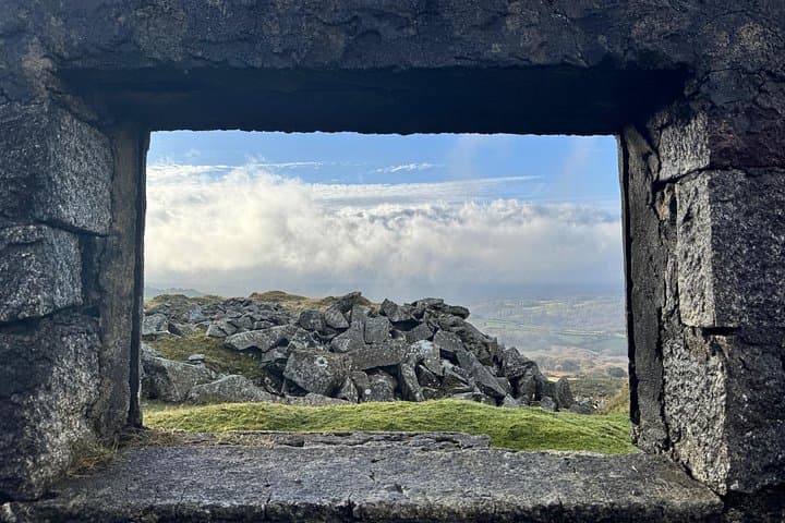 Half day Guided Dartmoor Tour