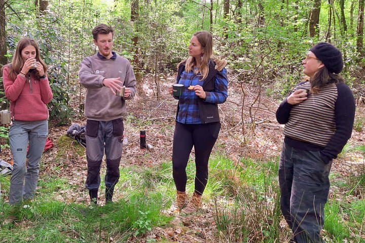 Forest Nature Therapy Experiences