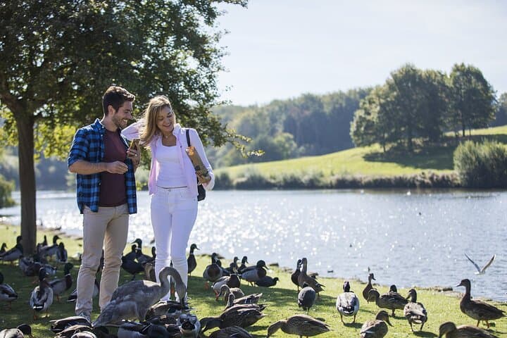 Leeds Castle, Canterbury Cathedral and Cliffs of Dover Day Trip
