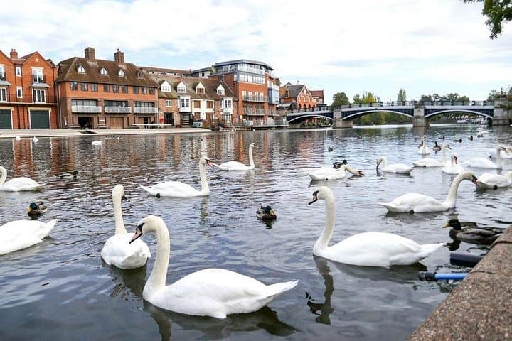 Royal Windsor: Private Day Tour from London