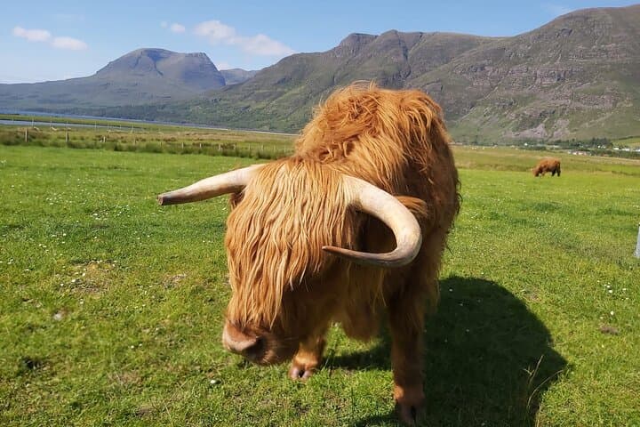 Edinburgh: Loch Ness & Highlands Privately Guided Luxury Day Tour