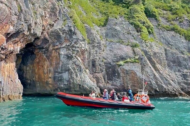 Torquay Coastal RIB Seafari