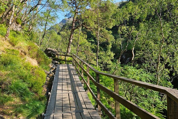 Nevis Gorge bridge