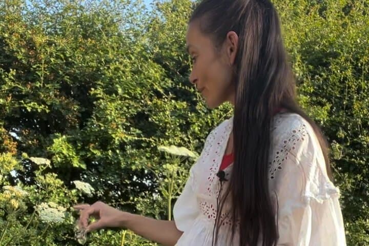 Your Tutor Di Hammill Page. Member of Ass. of Foragers and Qual Tutor. Teaching foraging for 20 years.