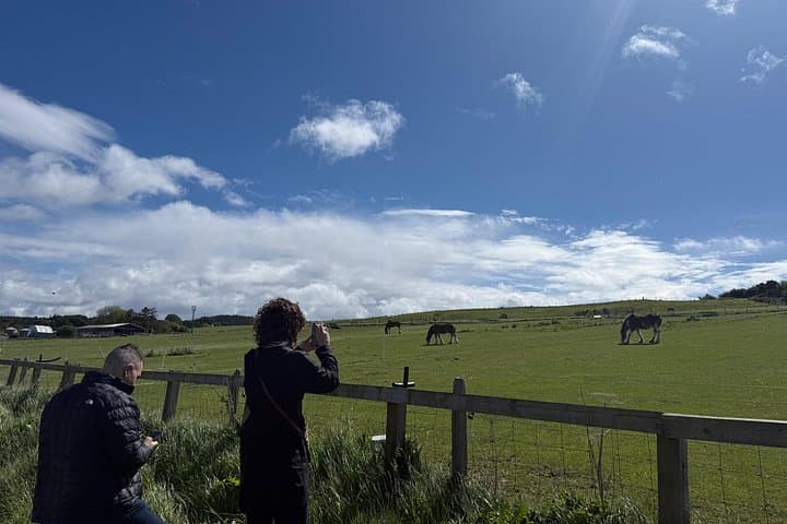 Some Clydesdale may be sighted for brief moment