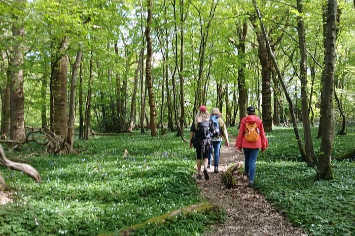 Walking group in spring