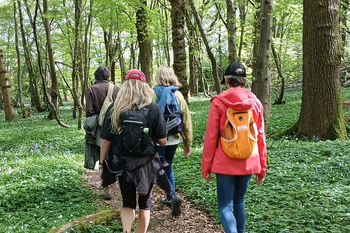 Ridgeview and Artelium Estate Private Walking Tour