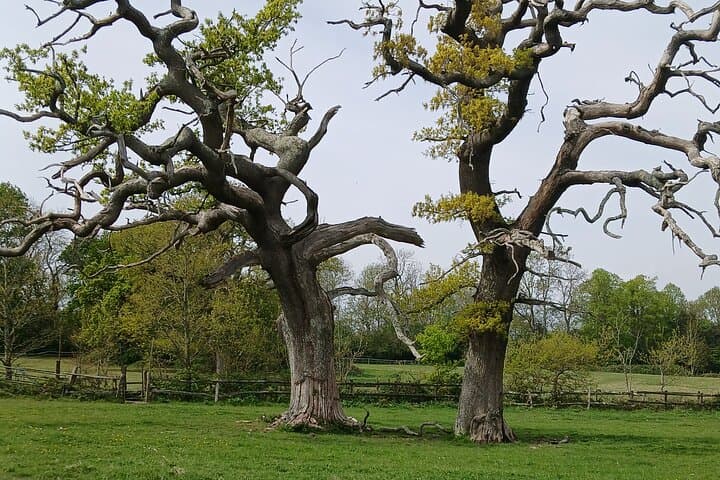 Magical countryside